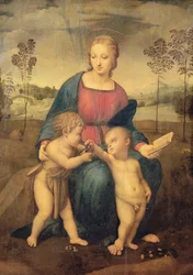 Madonna des Stieglitzes, ca. 1506 (vor der Restaurierung)